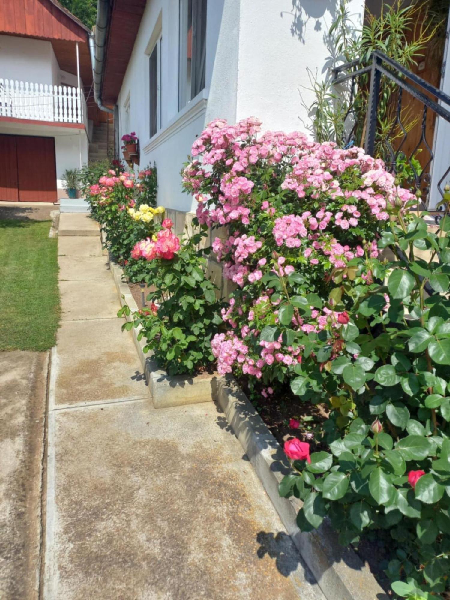 Rozsa Panzio Bed & Breakfast Rimetea Ngoại thất bức ảnh